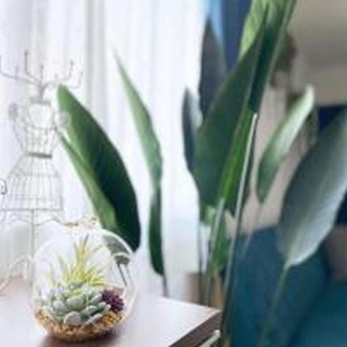 Apartemen シティマインド京町303 *